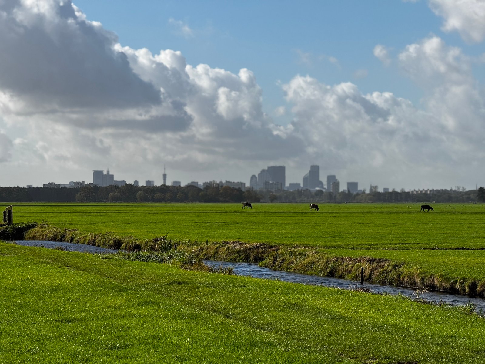 My home in Den Haag